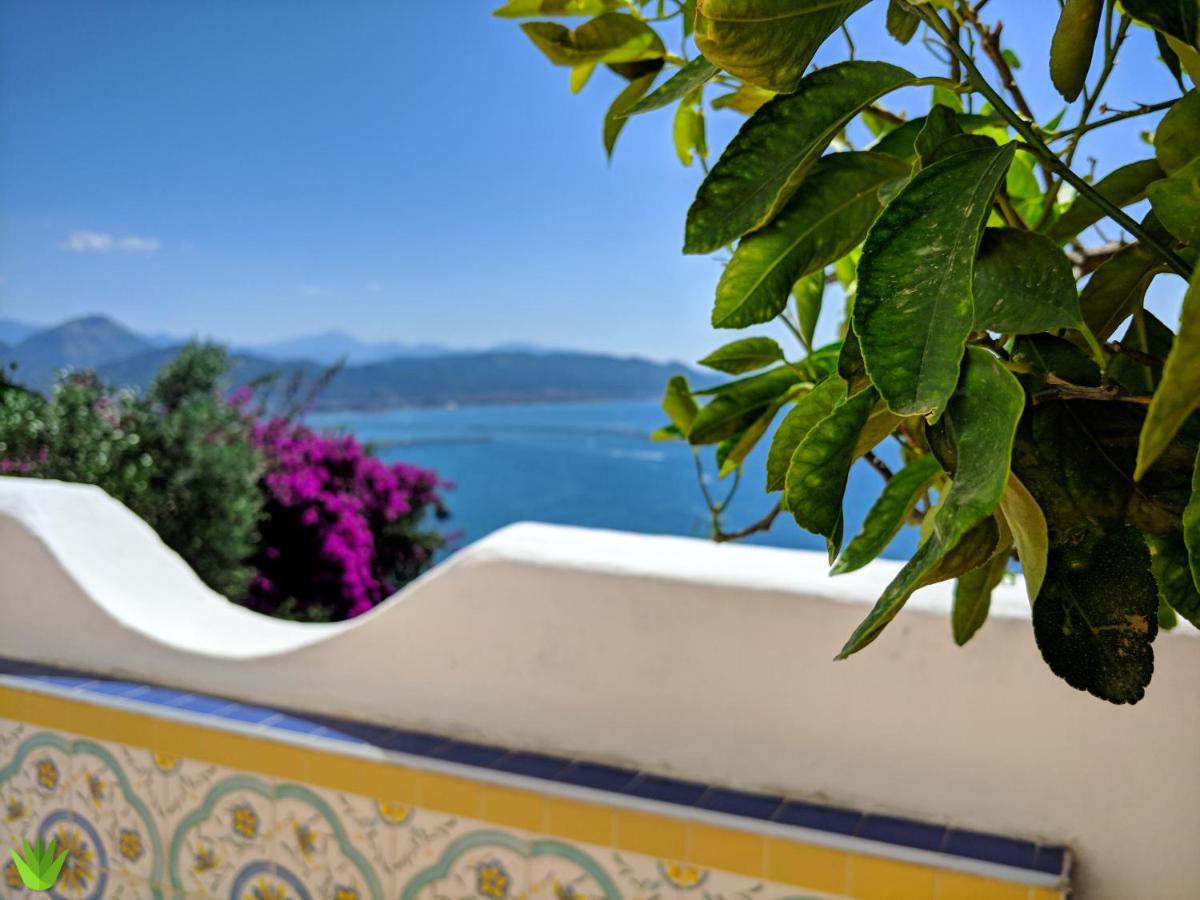 Villa Delle Agavi Vietri 外观 照片