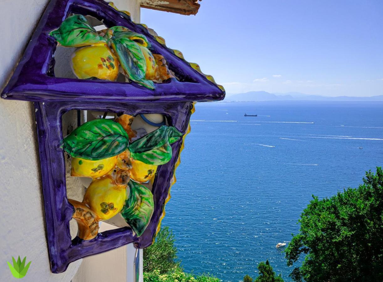 Villa Delle Agavi Vietri 外观 照片