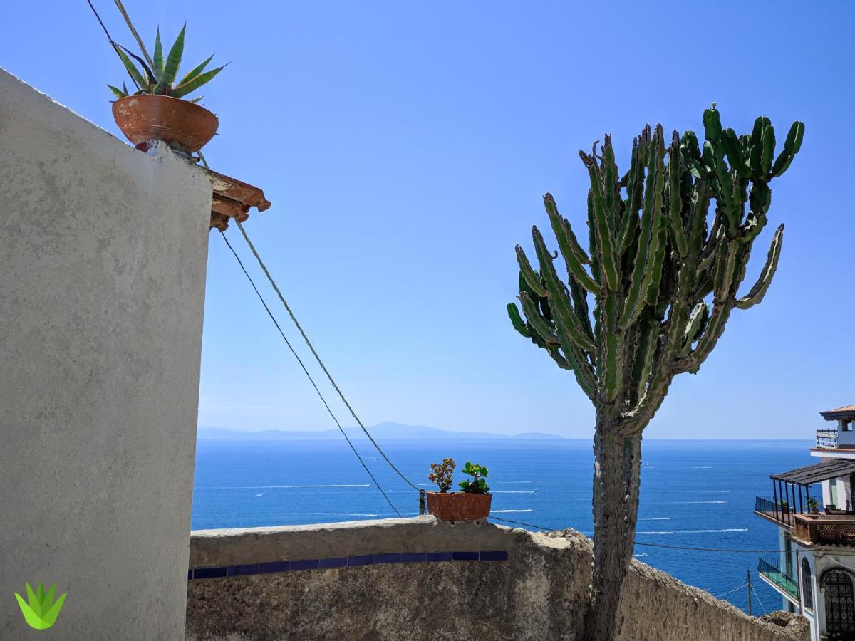 Villa Delle Agavi Vietri 外观 照片